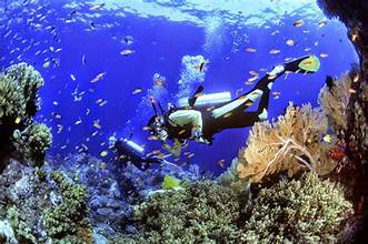 Pemandangan Bawah Laut